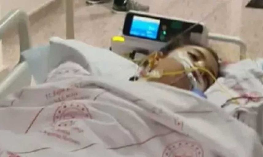 Antalya'da köpeklerden kaçarken kamyon altında kalmıştı: Mahra'dan acı haber geldi! 23 günlük yaşam savaşı sonrasında hayata gözlerini yumdu