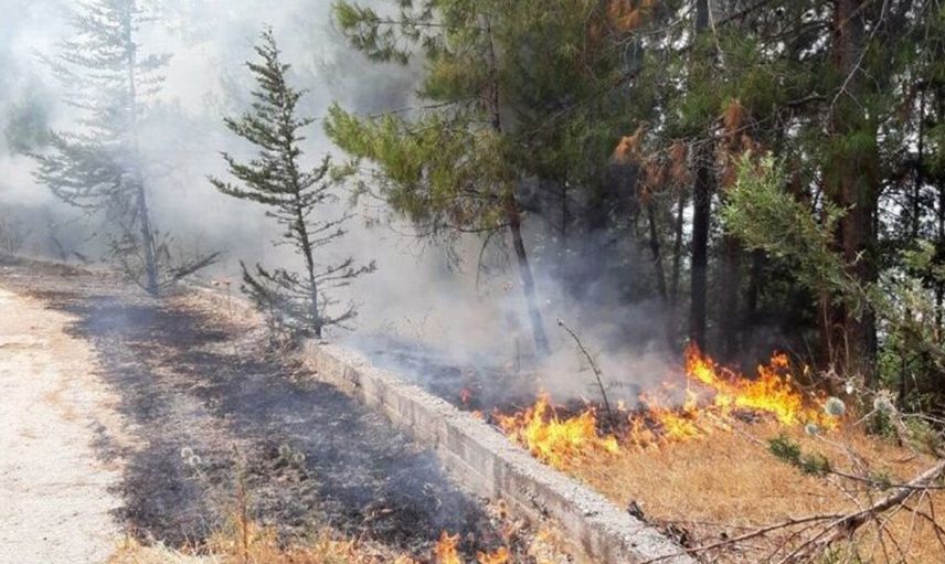 Antalya'da Korkunç Yangın! İki Noktada Orman Yangını Meydana Geldi