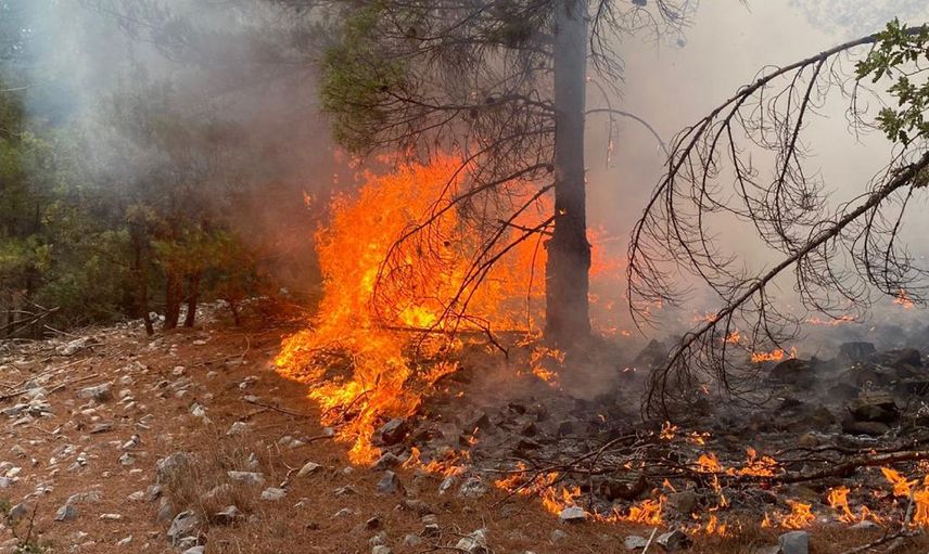 Antalya'da Korkutan Orman Yangını! Çok Sayıda Ekip Bölgeye Sevk Ediliyor