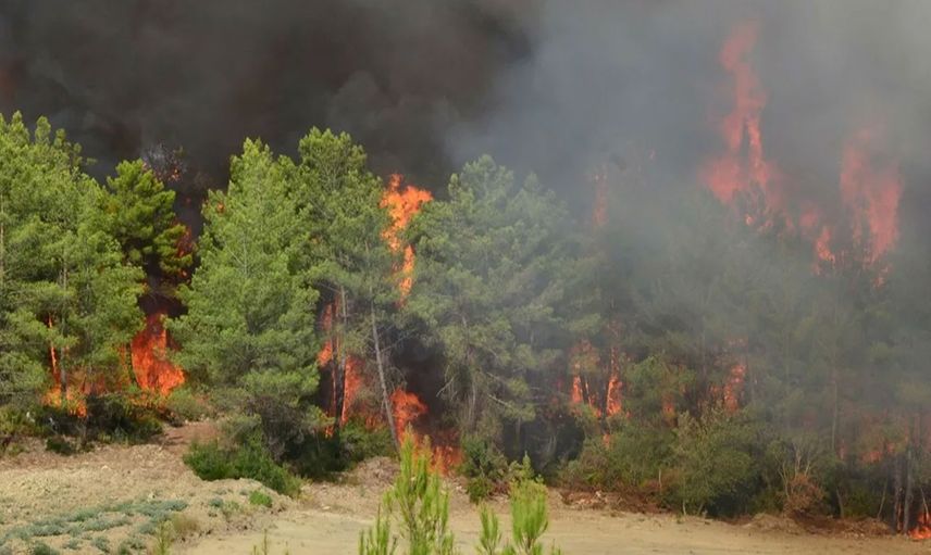 Antalya’da korkutan orman yangını: Olay yerine çok sayıda helikopter sevk edildi