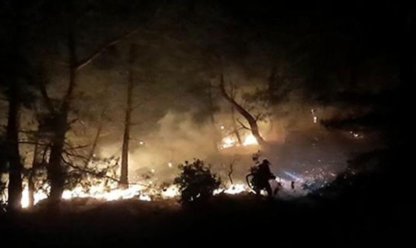 Antalya'da Ormanlık Alanda Yangın