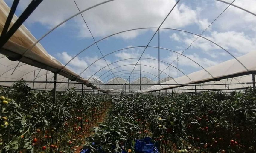 Antalya'da sabah saatlerinde gerçekleşen hortum seraları vurdu