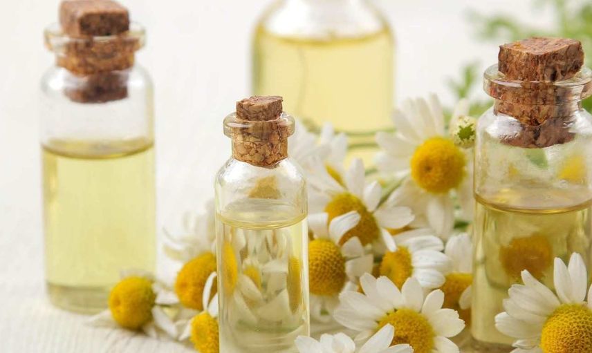 Antidepresan özelliğine sahip papatya yağı faydaları saymakla bitmiyor!  Binbir derde deva papatya yağı kullanım alanları