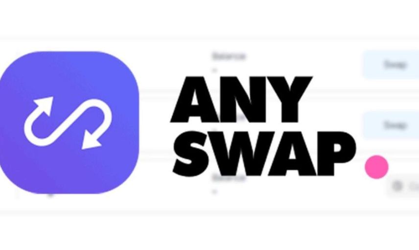 Any coin nedir? Anyswap coin projesi ve yol haritası
