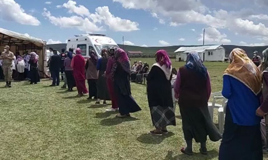 Ardahan Yaylasında Aşı Kuyruğu