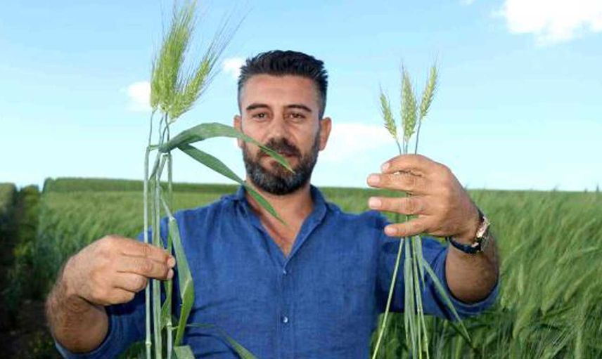 Arkeolojik kazılarda ortaya çıktı! 7 bin yıllık tohumlar ortaya çıktı: Çiftçiler çok umutlu