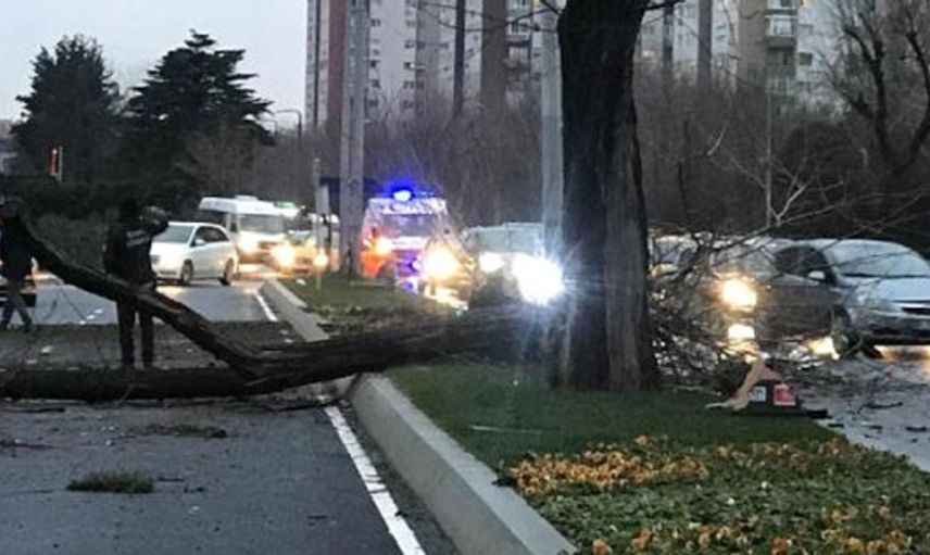Ataköy'de Bir Araç Yol Kenarındaki Ağaca Çarpıp Devirdi