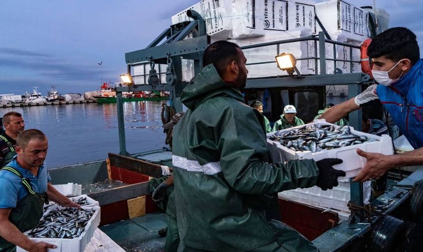 Av yasağı sona erdi: Tezgahları şenlendirecek balık belli oldu