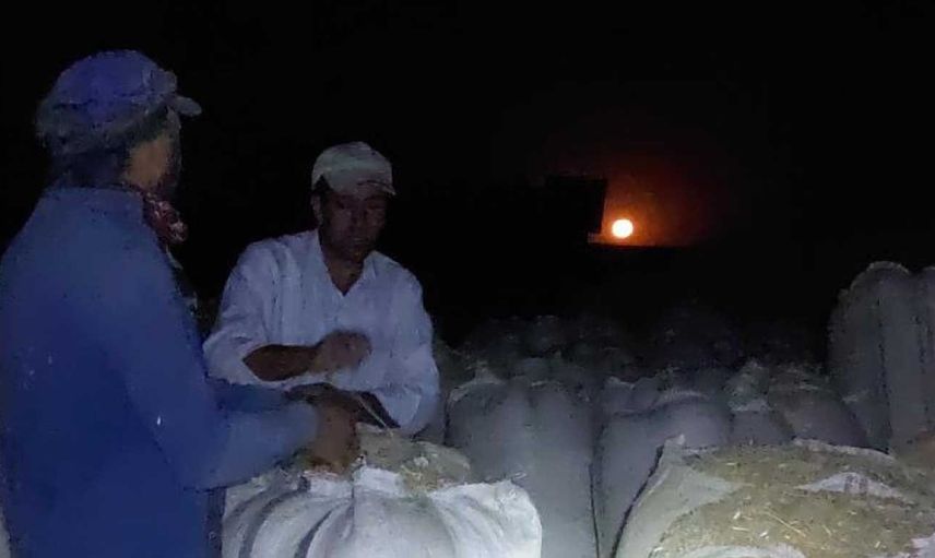 Ay ışığında ekmek kapısı! Diyarbakır'ın kavurucu sıcağından kaçan saman işçileri günlük 500 lira kazanıyorlar