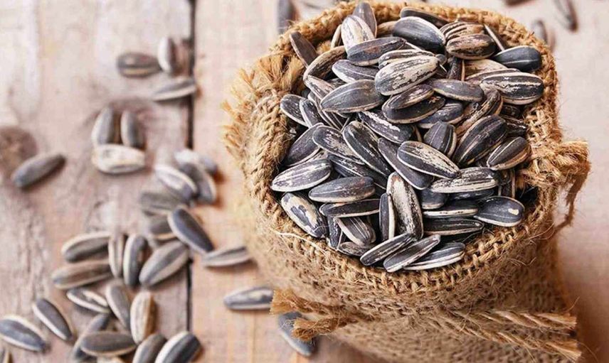 Ayçekirdeğinin sağlığa zararları nelerdir? Fazla ayçiçeği tüketiminin neden olduğu hastalıklar