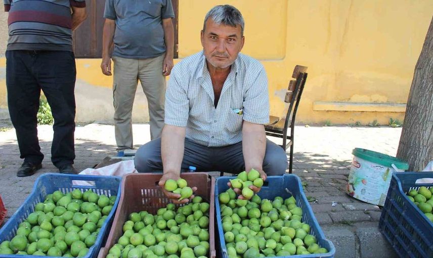 Aydın'da İlek Pazarları Hareketli