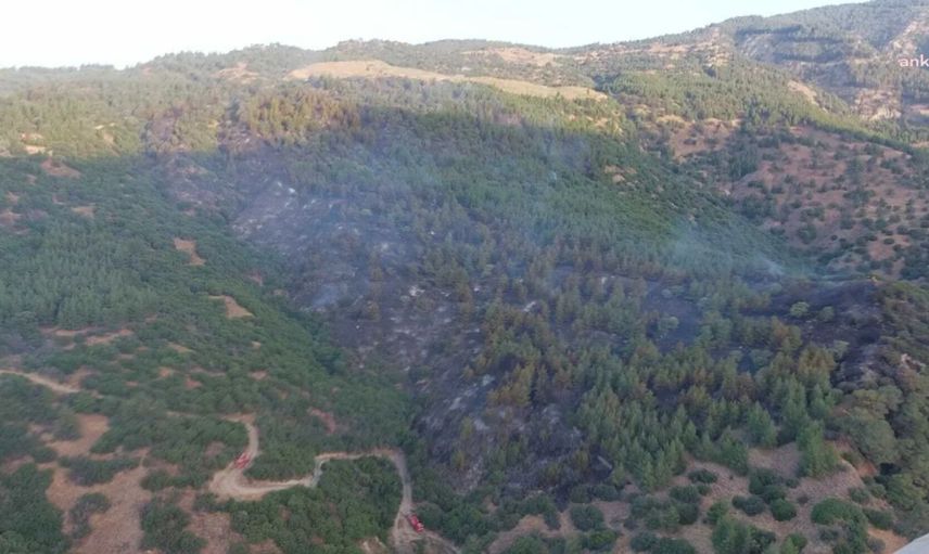 Aydın’da orman yangını: Ekipler geceden beri müdahale ediyor