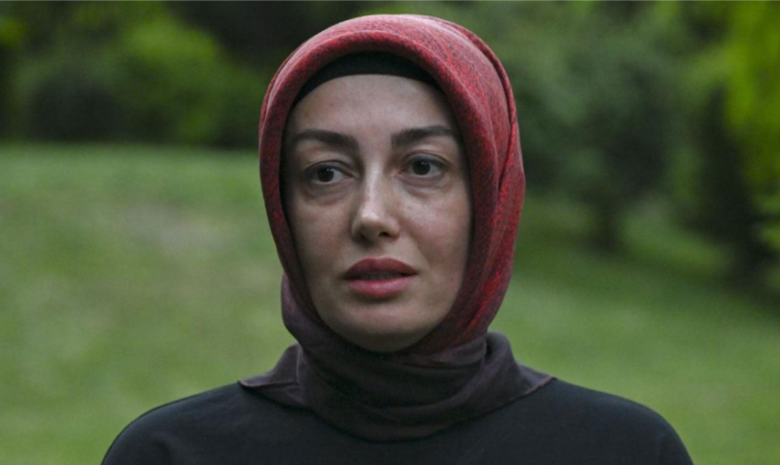 Ayşe Ateş'ten MİT Başkanı Kalın'a mesaj