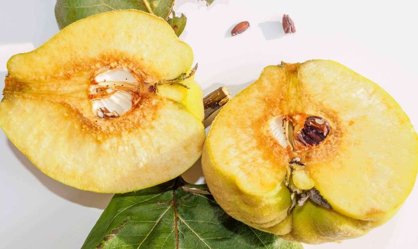 Ayva kabızlık yapar mı, yan etkileri nelerdir? Uzman doktorlar ayvanın yan etkilerine dair merak edilenleri cevapladı