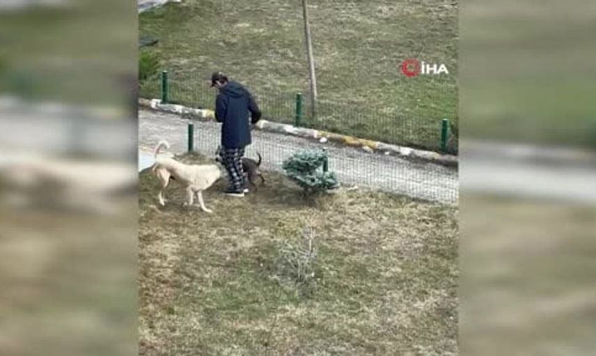 Palandöken'de site sakinleri kaymakama destek verdi: gerilim uzun süredir devam ediyordu