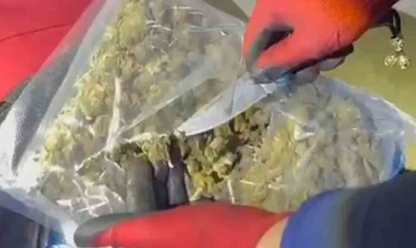 Yolcu otobüsünde 16 kilo skunk uyuşturucu madde ele geçirildi