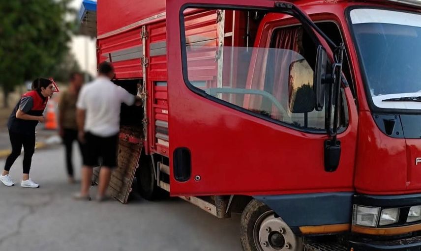 Kırklareli'nde kaçak hayvan sevkine 175 bin lira ceza