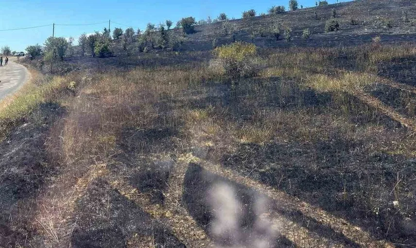 Bolu'da boş arazide çıkan yangın, itfaiye ekipleri tarafından kontrol altına alındı