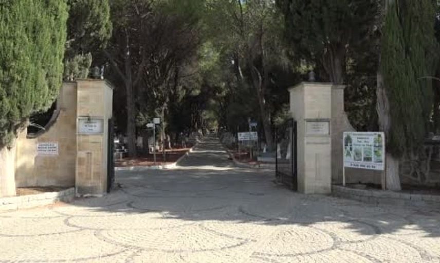 Sincap dostluğu: Çanakkale mezarlık görevlisi hayvanlarla kurduğu bağı paylaşıyor