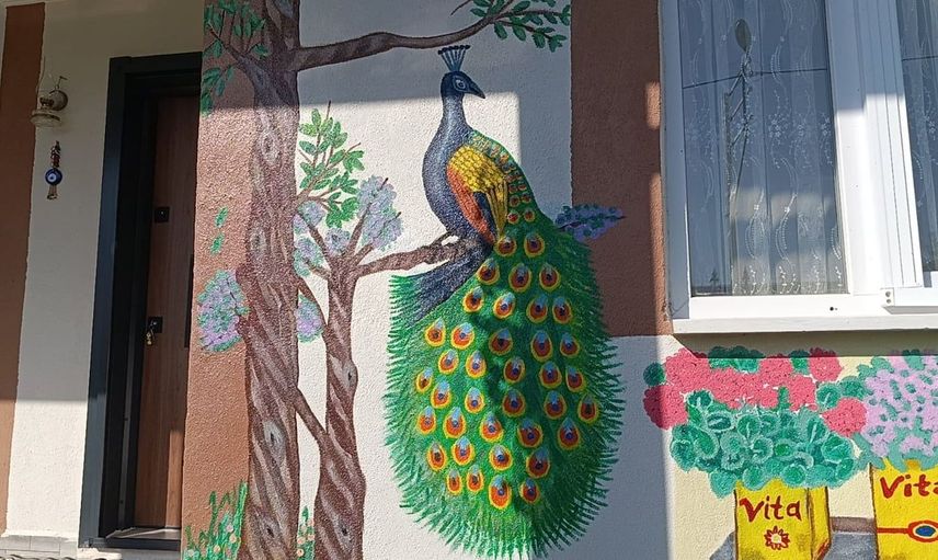 Çocukluk hayallerini gerçeğe dönüştürdü: Yozgatlı ev hanımının duvar sanatı