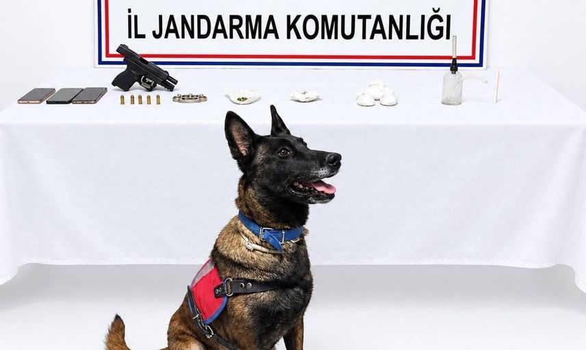 İzmir'de jandarma uyuşturucu ticaretine geçit vermedi
