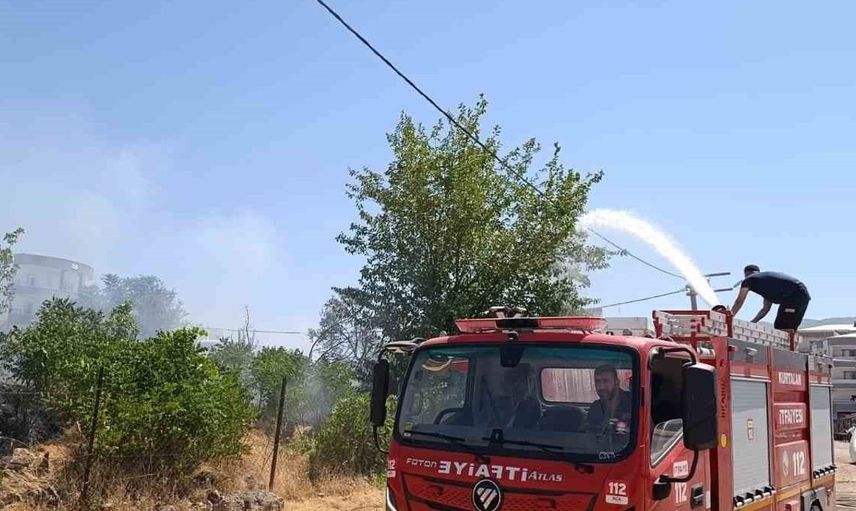 Siirt'te bahçedeki yangında meyve ağaçları küle döndü