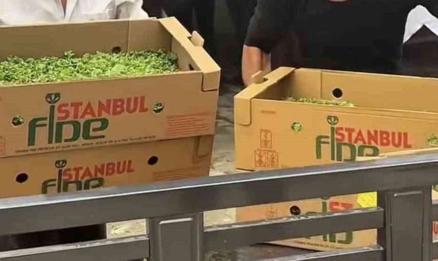 Burdur'da üreticilere marul fidesi desteği ile tarıma katkı sağlandı
