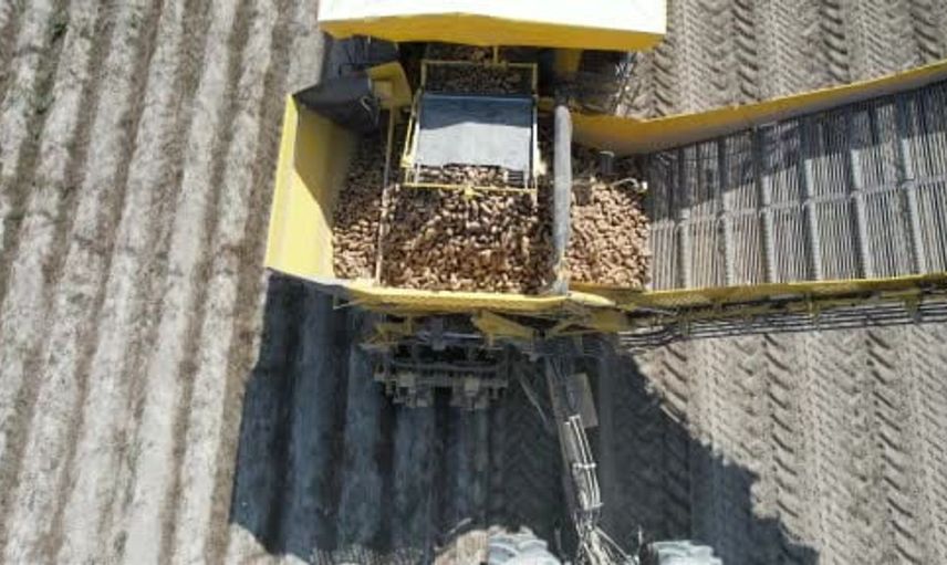 Konya patates üretiminde Türkiye'nin üçüncü kenti: Yerli tohum çalışmalarına hız verildi