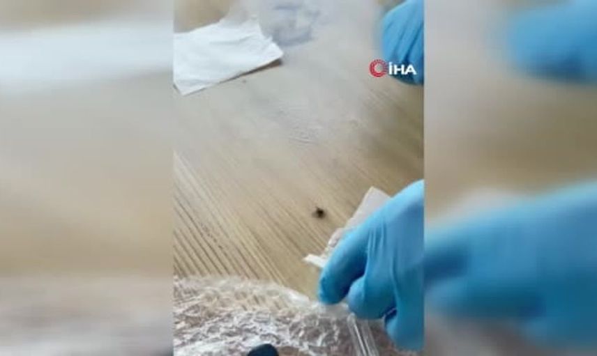 Tokat Gaziosmanpaşa Üniversitesi'nde doğal kene kovucu sprey geliştiriliyor