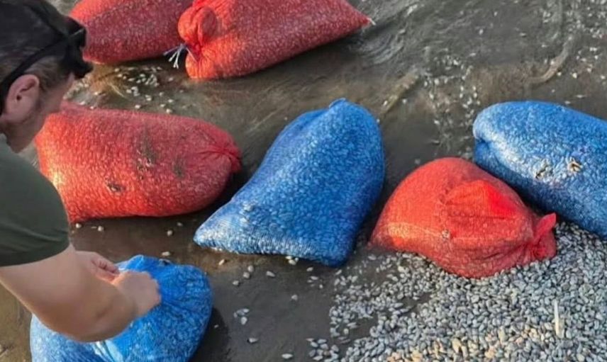 Yasa dışı kum şırlanı avcılığına karşı ortak denetim