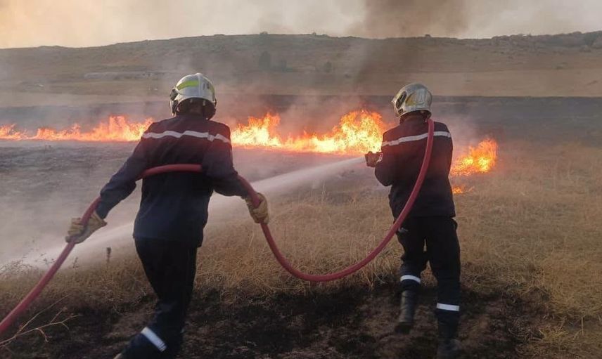 Cezayir'de orman yangınları alarm veriyor: 72 yangın, 64'ü kontrol altına alındı