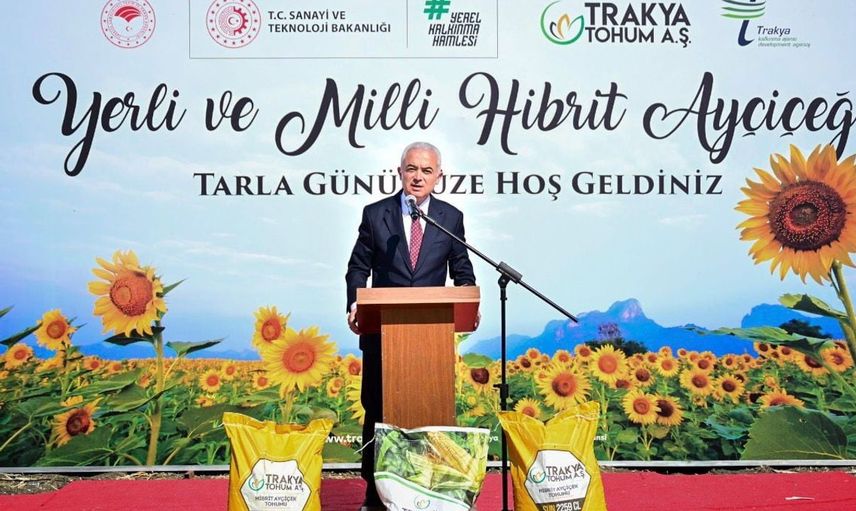 Kırklareli'nde yerli ayçiçeği hasadı coşkusu