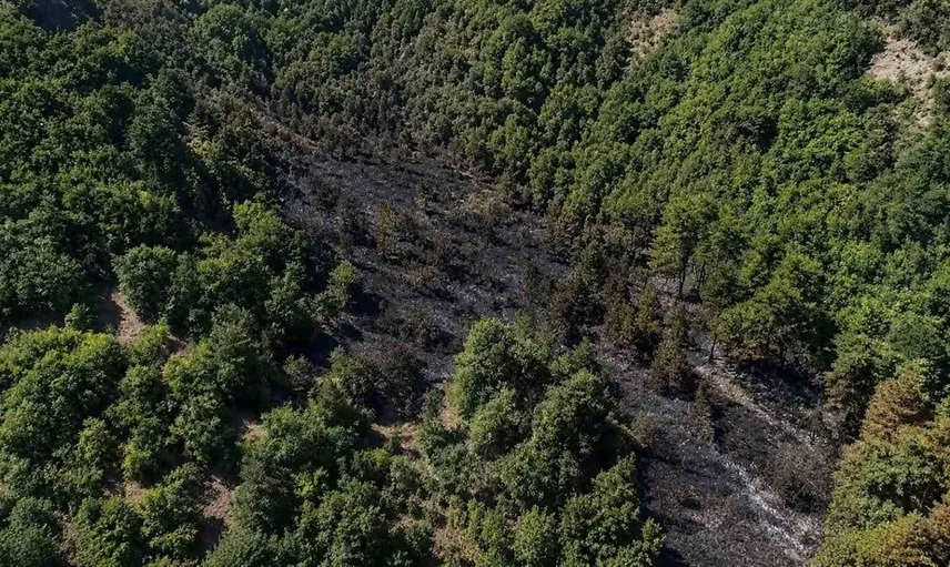 Sinop'ta orman yangını kısa sürede kontrol altına alındı
