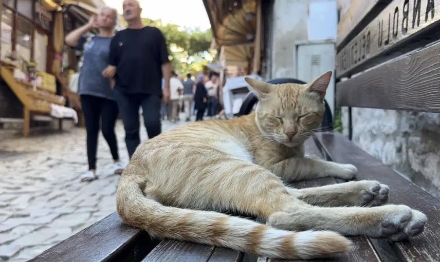Safranbolu'da hafta sonu yoğunluğu: Tarihi sokaklar dolup taştı