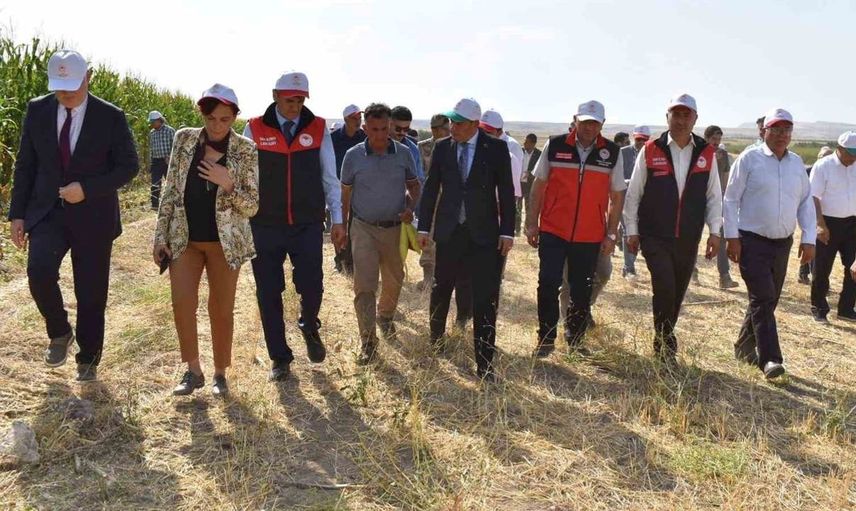 Tuşba’da silajlık mısır hasadı için tarla günü etkinliği gerçekleştirildi