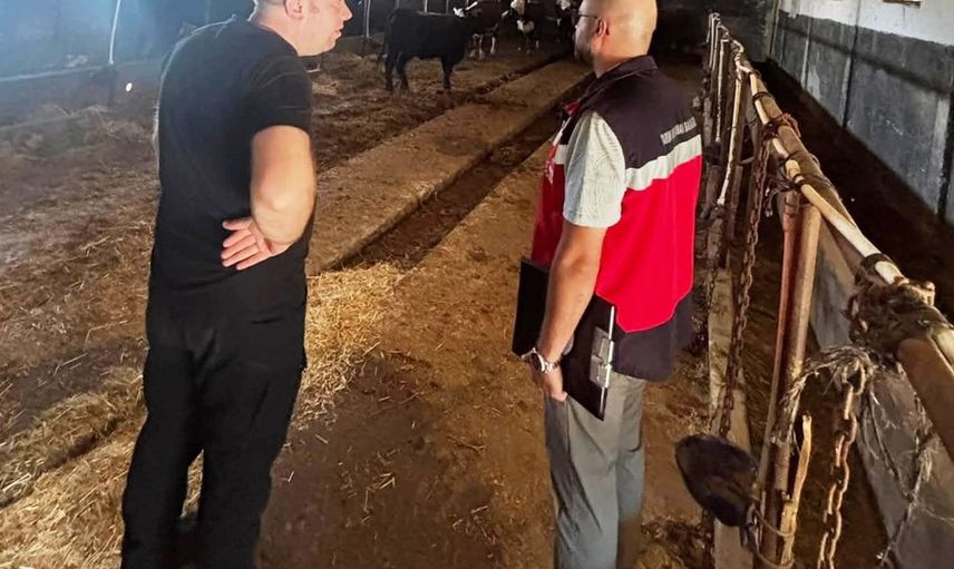 Tavşanlı'da hayvancılığa destek projesiyle ithal hayvanlar kontrol edildi