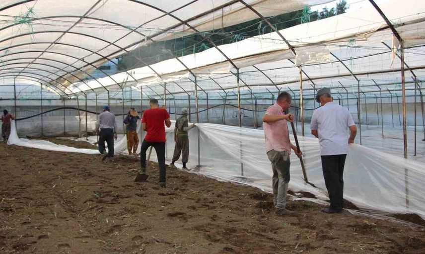 Seralarda yeni sezon üretim için solarizasyon dönemi başladı