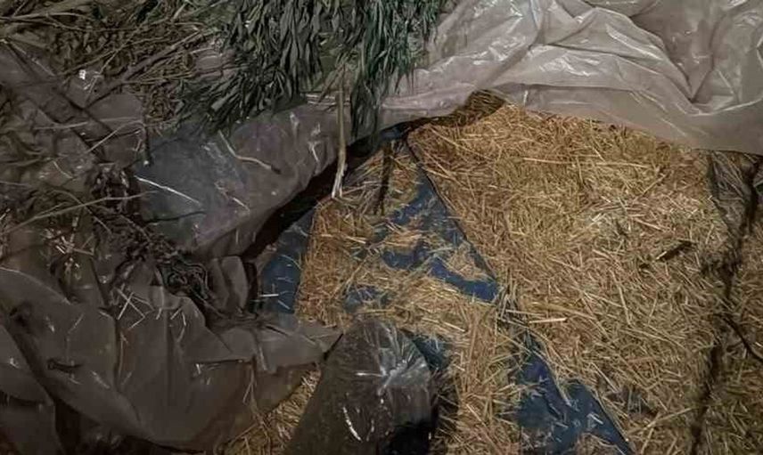 Kırşehir’de uyuşturucu operasyonunda bir kişi tutuklandı