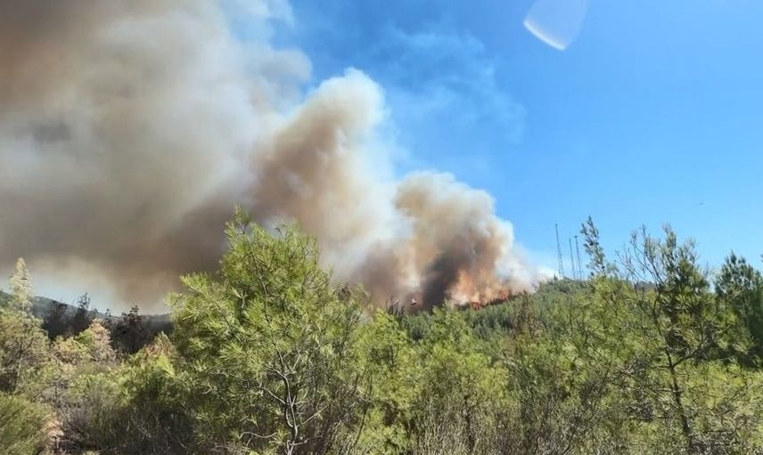 Fethiye üzümlü'de yangın yeniden başladı