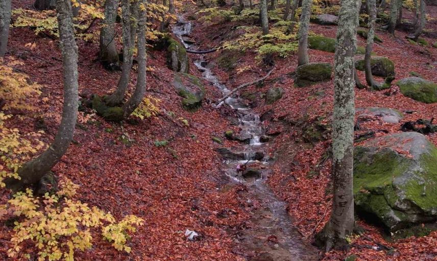 Sonbaharın renkleriyle bezeli Uludağ, doğaseverlere huzur sunuyor
