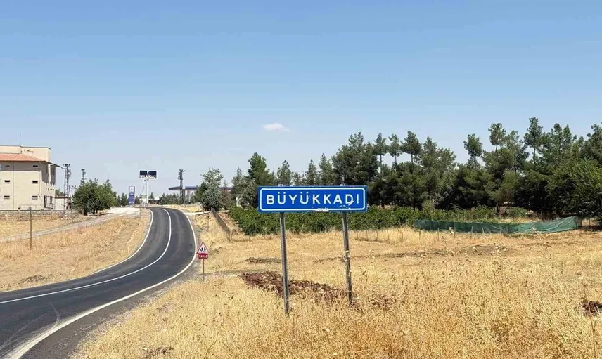Diyarbakır'da kuduz vakası: Sokak kedisi çocuğu ısırdı, tedavi süreci başlatıldı