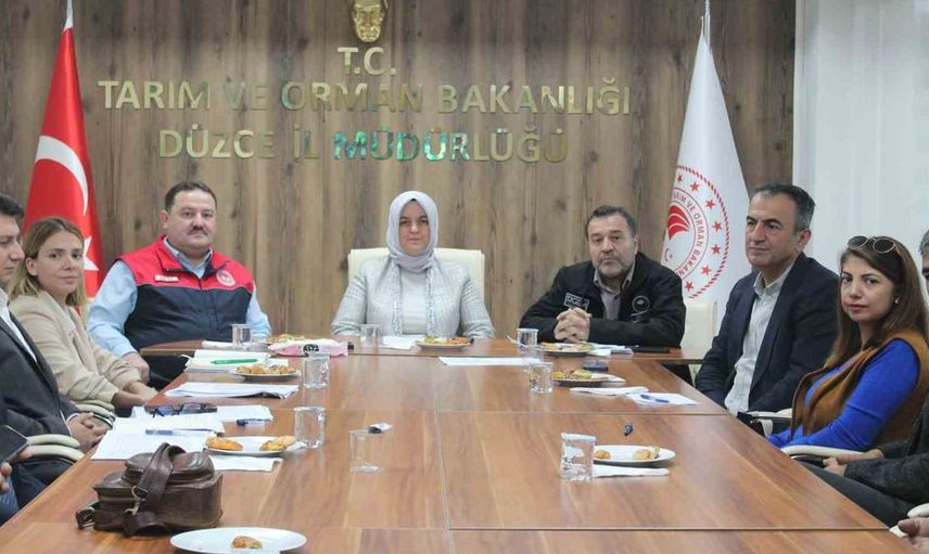Geleceğin manda yetiştiriciliği Düzce'de masaya yatırıldı