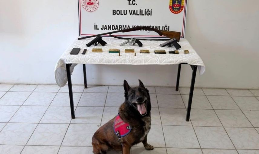 Bolu’da evinde ruhsatsız silahlarla yakalanan şüpheli tutuklandı