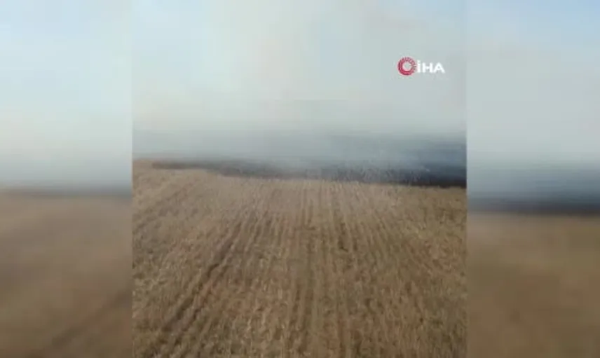 Saraykent'teki anız yangını 150 dönüm araziyi küle çevirdi