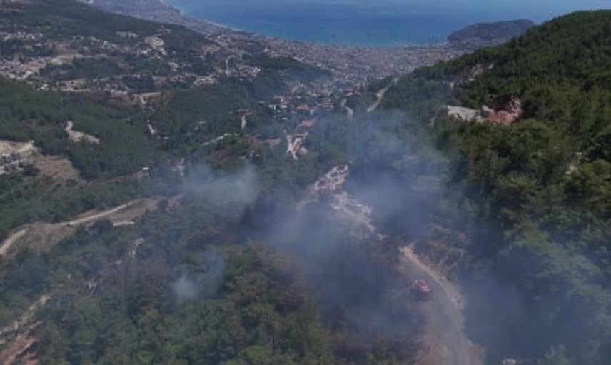 Alanya'da orman yangını 3 saatte kontrol altına alındı