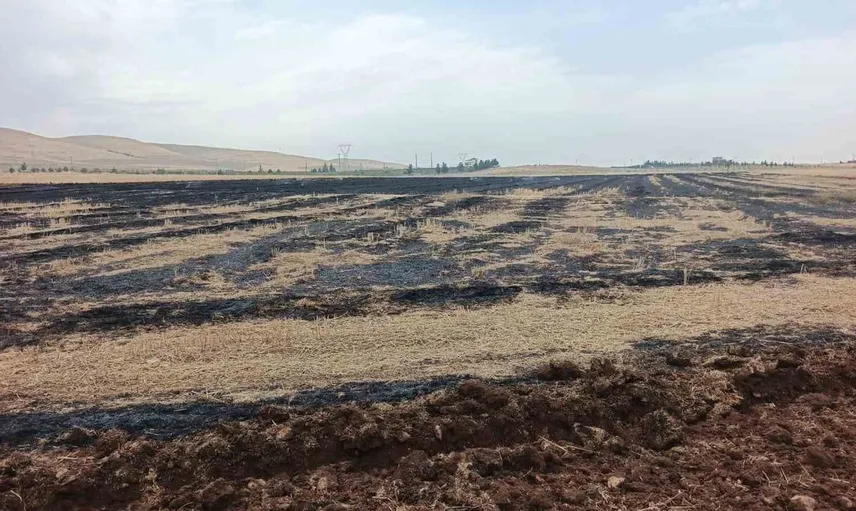 Siirt'te çiftçiye anız yakmaktan ceza: Yangın büyümeden önlendi