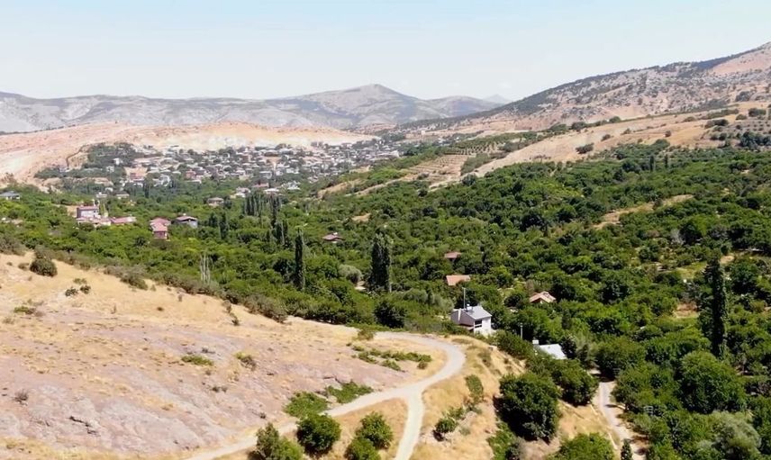 Emirler köyünde kapalı sulama sistemi ile kiraz üretimi patladı