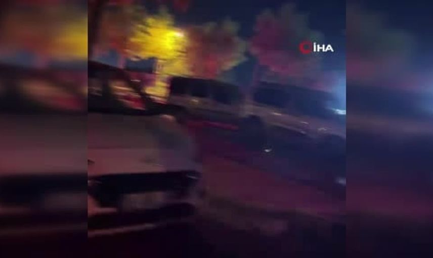 Bolu'da aniden yola çıkan köpekler zincirleme kazaya yol açtı