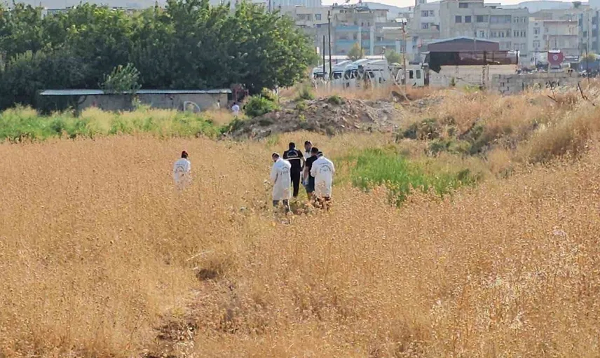 Şanlıurfa'da tarlada ceset bulundu, cinayet soruşturması başlatıldı