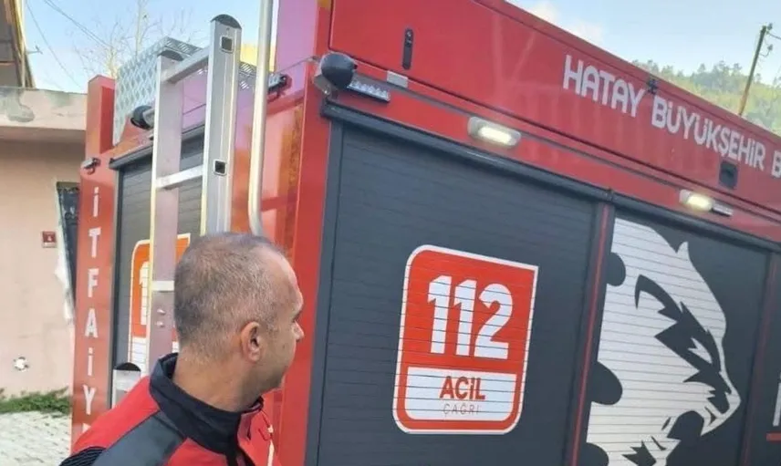 Yerli yılanlar güvenle doğal yaşam alanlarına geri döndü